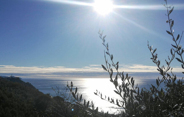 Feriehus - Zoagli , Italia - ILL653 5