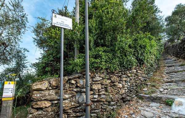 Ferienhaus - Zoagli , Italien - ILL794 802