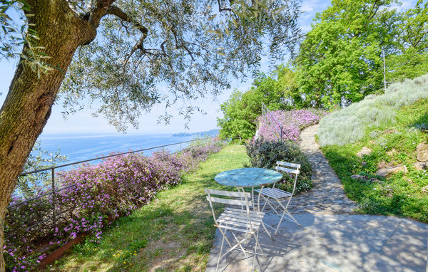 Ferienhaus - Zoagli , Italien - ILL794 104