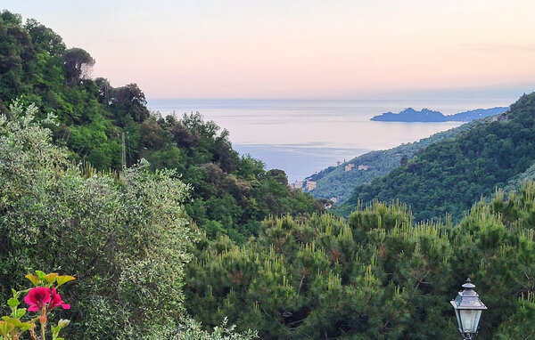 Semesterlägenhet - Zoagli , Italien - ILL934 7
