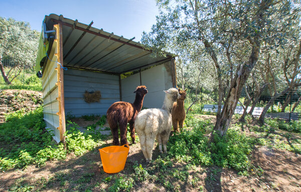 Feriehus - Pieve Ligure , Italien - ILL958 801