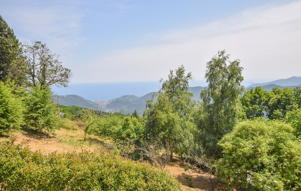 Location de vacances - Magliolo , Italie - ILP230 202