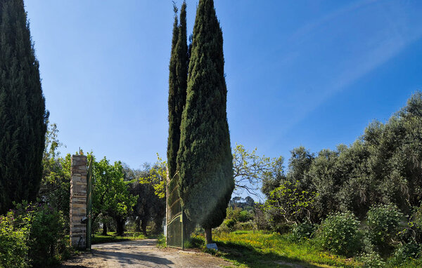 Ferieleilighet - Camporosso , Italia - ILP292 802