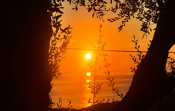 Vakantiehuis - Diano Marina , Italië - ILP306 202