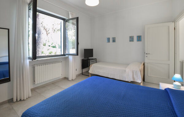 Appartement - Marina di Andora , Italie - ILP311 607