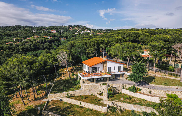 Appartement - Marina di Andora , Italie - ILP311 1