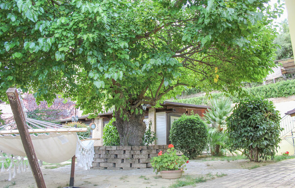 Ferienhaus - Montefiore dell'Aso , Italien - IMK008 101