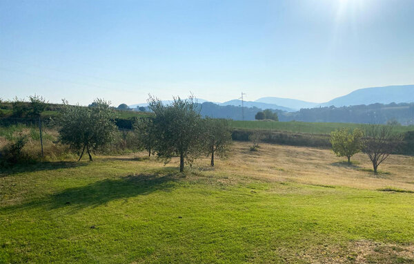 Kuća-za-odmor - Terre Roveresche , Italija - IMK035 105