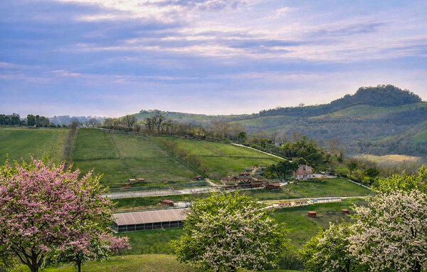 Ferienhaus - Fermo , Italien - IMK071 201