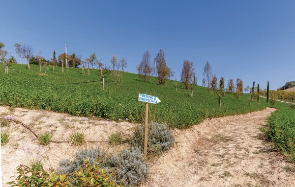Vakantiehuis Casa Alina