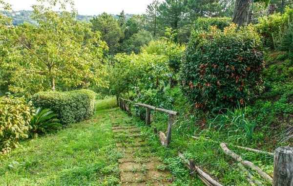 Holiday Home - Trebbiantico di Pesaro , Italy - IMK286 105