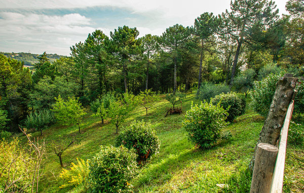 Holiday Home - Trebbiantico di Pesaro , Italy - IMK286 7
