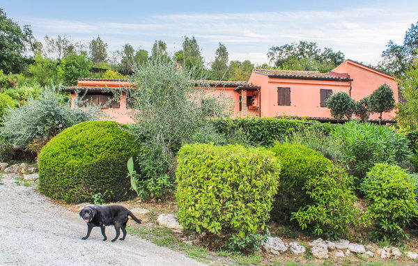 Appartement - Montefiore dell'Aso , Italie - IMK299 81