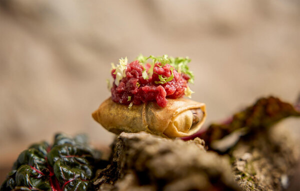 Appartement - Montemonaco , Italië - IMM023 807