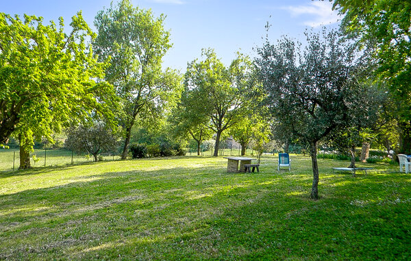 Vakantiehuis - Serrungarina , Italië - IMM025 101