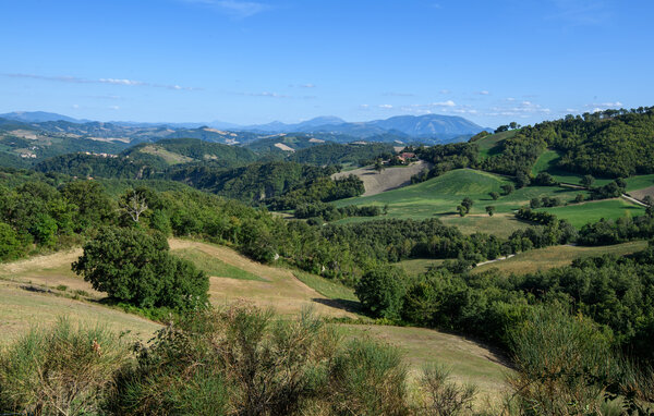 Appartement - Frontino , Italië - IMM030 201