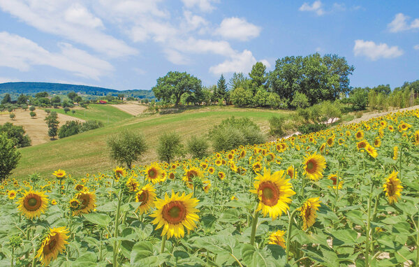 Casa vacanze - Serra dè Conti , Italia - IMM048 8