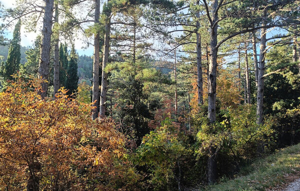 Appartement - Fontecorniale , Italië - IMM053 903