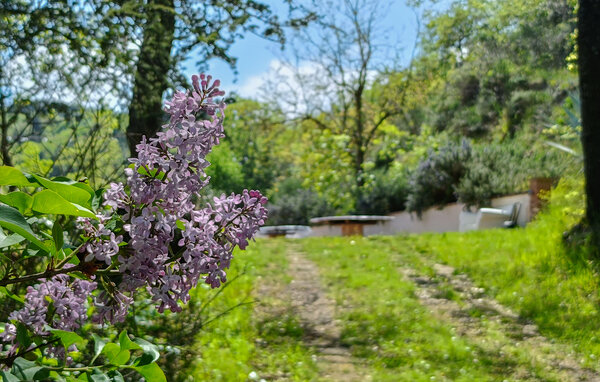 Appartement - Fontecorniale , Italië - IMM053 104