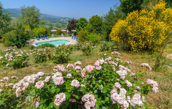 Ferienhaus - Cagli , Italien - IMM165 1