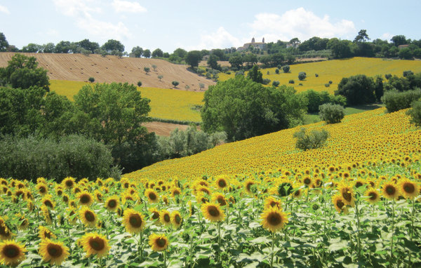 Casa di vacanze Villa dei Girasoli