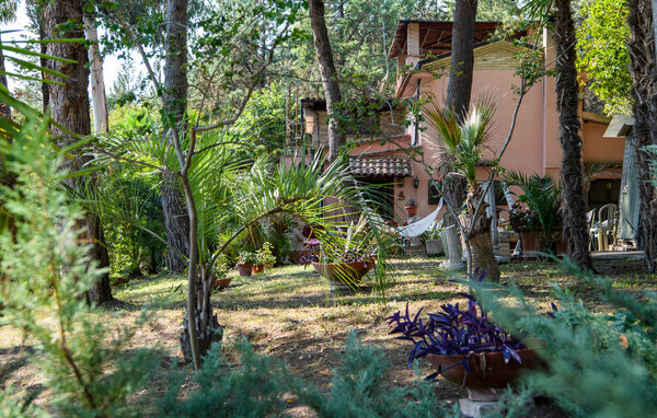 Ferienhaus - Monsampolo del Tronto , Italien - IMM262 9