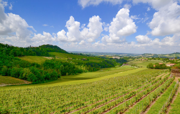 Ferienwohnung - Santo Stefano Belbo , Italien - IPL002 902