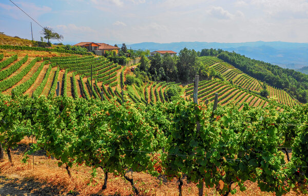 Casa vacanze - Asti , Italia - IPL012 8
