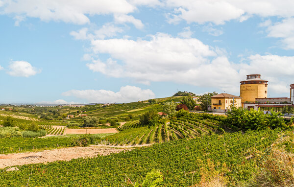 Lejlighed - Monforte D'Alba , Italien - IPL027 901