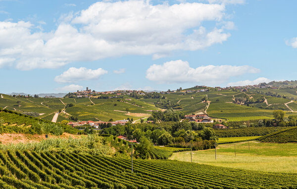 Lejlighed - Monforte D'Alba , Italien - IPL027 6