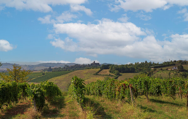 Semesterhus - Monferrato - Quargnento , Italien - IPL029 9