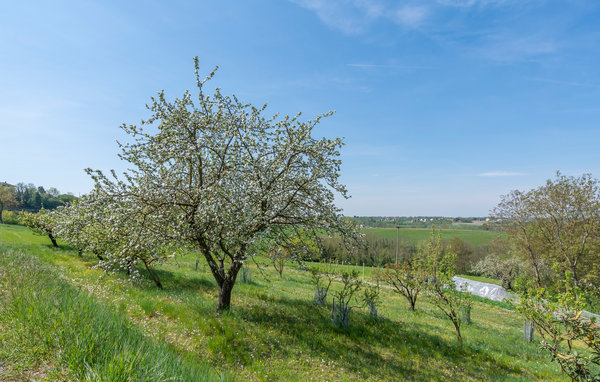 Casa de vacaciones - Monferrato , Italia - IPL276 903