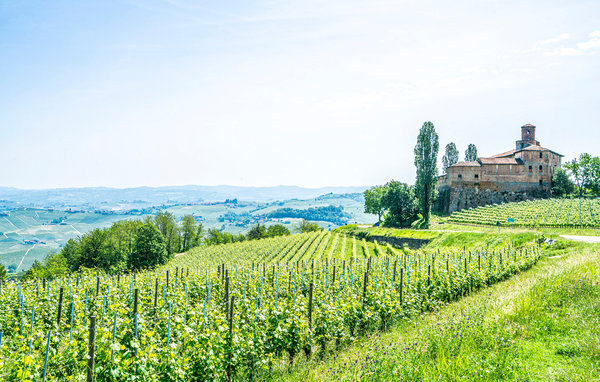 Holiday Home - Vignale Monferrato , Italy - IPL279 901