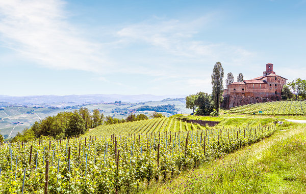 Ferienwohnung - Vignale Monferrato , Italien - IPL295 901