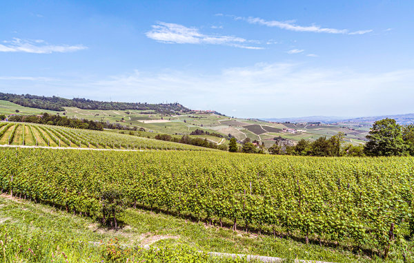 Ferienwohnung - Vignale Monferrato , Italien - IPL295 6