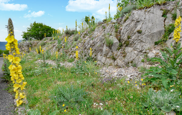 Holiday Home - Monte Scalambra , Italy - IRU011 901