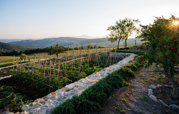 Holiday Home - Trevinano , Italy - IRU025 803