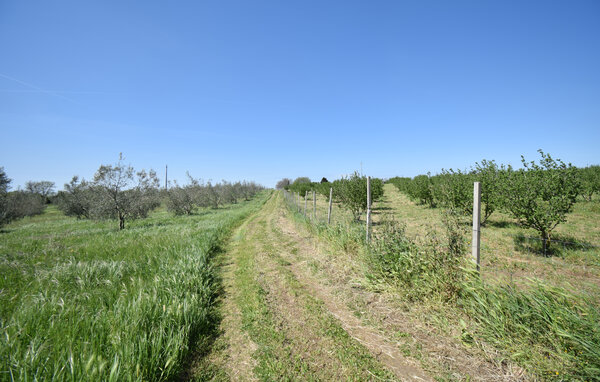Casa vacanze - Montefiascone , Italia - IRU026 802