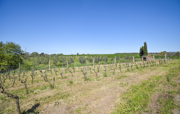 Casa vacanze - Montefiascone , Italia - IRU026 803