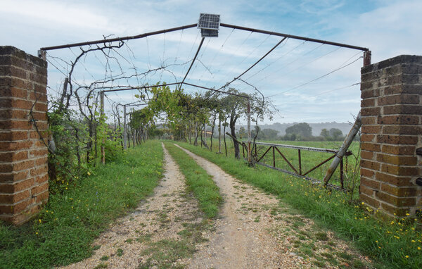 Holiday Home - Vignanello , Italy - IRU038 801
