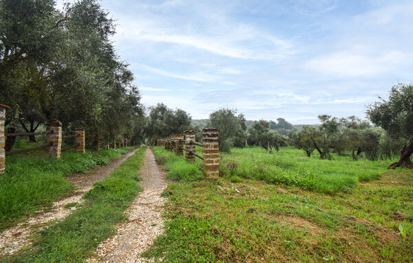 Holiday Home - Vignanello , Italy - IRU038 802