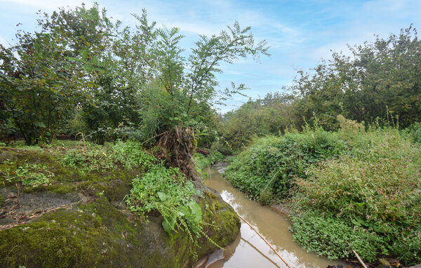 Holiday Home - Vignanello , Italy - IRU038 803