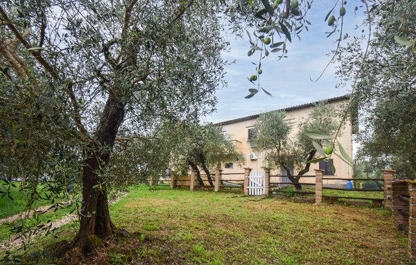 Holiday Home - Vignanello , Italy - IRU038 102