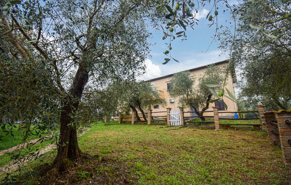 Holiday Home - Vignanello , Italy - IRU039 101