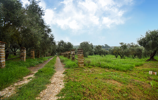 Holiday Home - Vignanello , Italy - IRU039 6