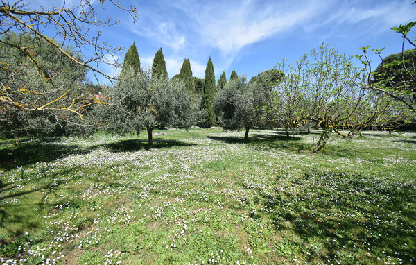 Casa de vacaciones - Monterosi , Italia - IRU044 103