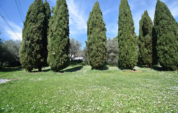 Casa de vacaciones - Monterosi , Italia - IRU044 104