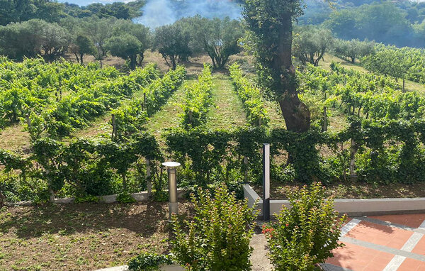 Vakantiehuis - Montefiascone , Italië - IRU047 202