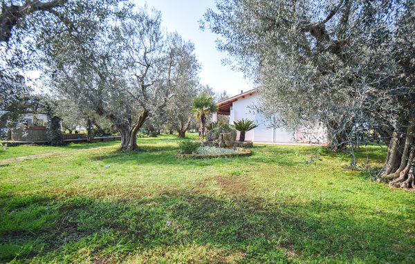 Casa de vacaciones - Pescia Romana , Italia - IRU050 84