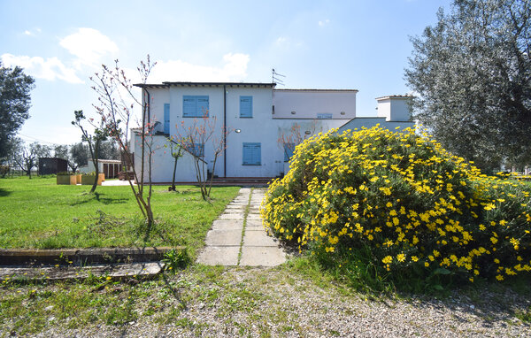 Apartman - Pescia Romana , Italija - IRU061 86